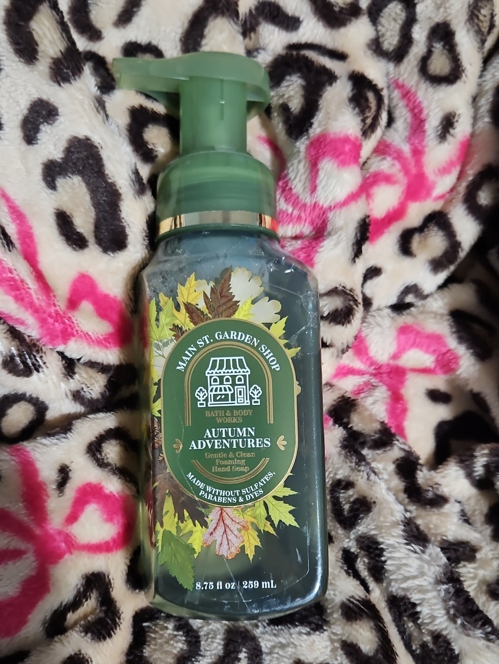 Bath & Body Works Autumn Adventures Hand Soap